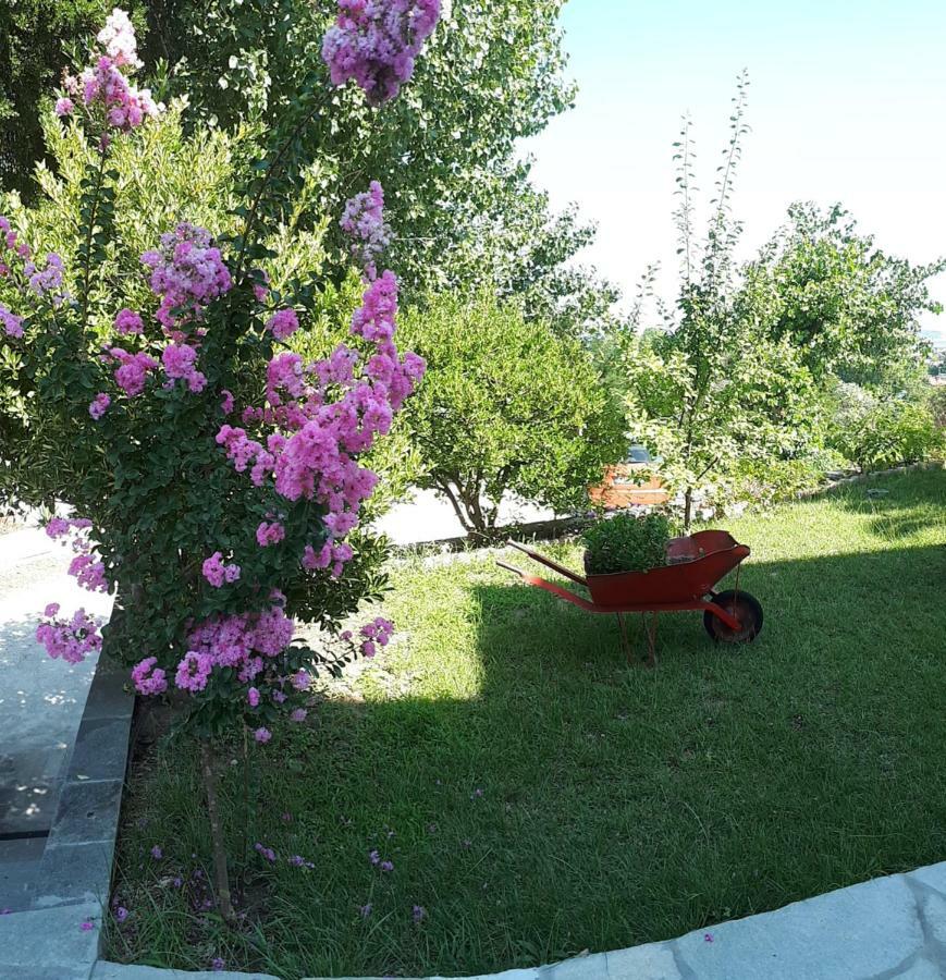 Studios Thea Fresh Rooms Thassos Kültér fotó